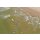 Softboard 9´0XL