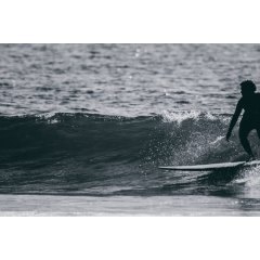 Malibu Polyester Custom grey 7´6